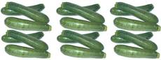 Zucchini-3x6.jpg